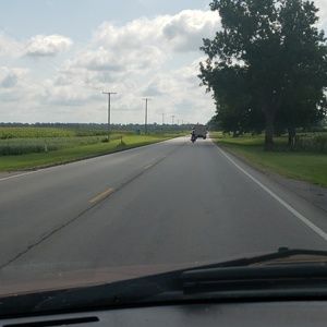 Meet your Posher, William